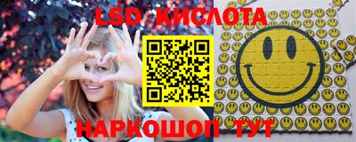 стаф Будённовск