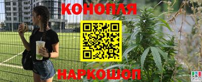 стаф Будённовск