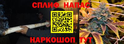 стаф Будённовск